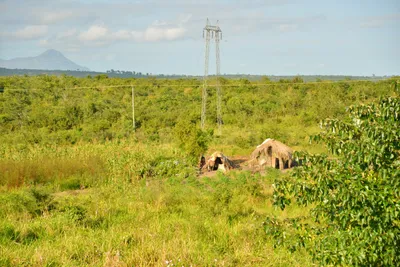 DSC_4357 (Large).JPG